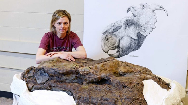 Darla Zelenitsky, Phó giáo sư tại Đại học Calgary, Canada và hộp sọ con vật  Pachyrhinizard.