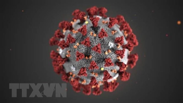 Hình ảnh chủng mới của virus corona. (Ảnh: TTXVN phát)