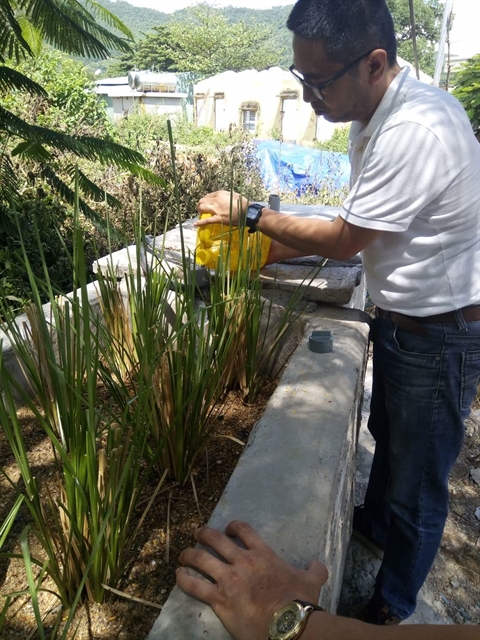 Vetiver grass is used to treat waste leaks at the Khanh Son dump in Da Nang. It's the first non-chemical waste treatment pilot project on a small scale to deal with polluted waste at the dump.