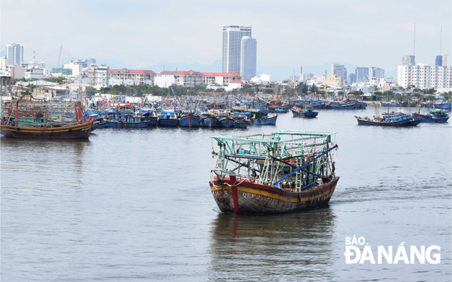 Cần đẩy nhanh tiến độ mở rộng cảng cá Thọ Quang