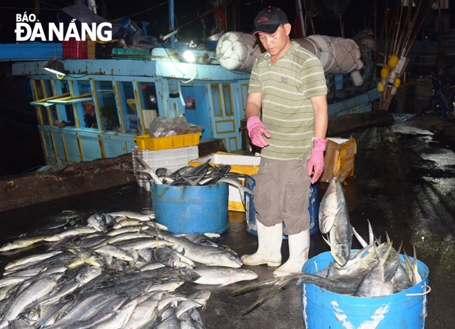 Hỗ trợ ngư dân gia tăng giá trị khai thác hải sản