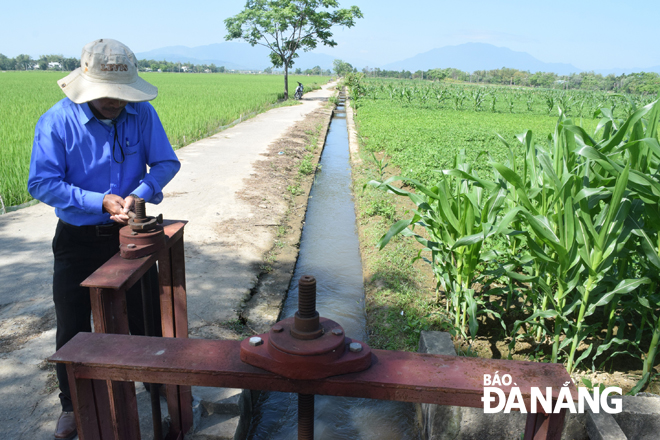 Nhân viên Công ty TNHH MTV Khai thác thủy lợi Đà Nẵng đang điều tiết nước tưới cho các cánh đồng. 						           Ảnh: HOÀNG HIỆP 