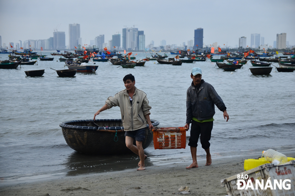 Fisherman Pham Tan Kim said “At around 5.00pm every day, I make an inshore fishing trip. In the early morning of the following day, I return to shore with a  bumper catch of tiny shrimps”.