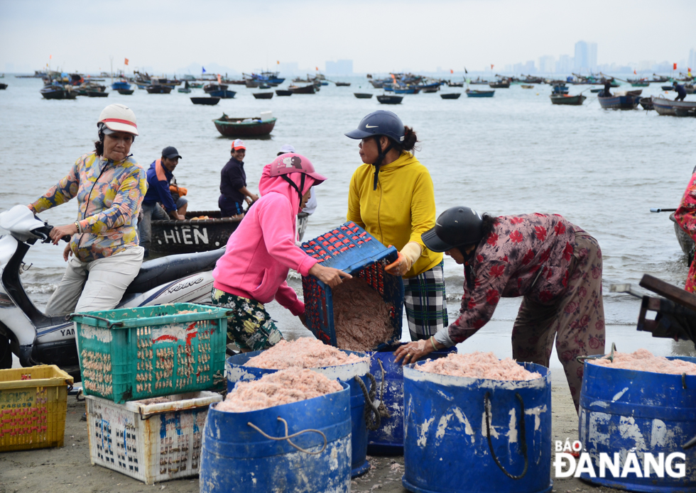 Women with plastic baskets full of tiny shrimps