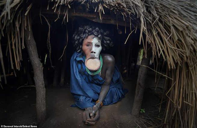 Nhiếp ảnh gia Sarawut Intarob (36 tuổi) cho biết hầu hết phụ nữ trong bộ tộc đều phải nhổ răng dưới, xẻ và kéo dài môi để đặt vừa những tấm đĩa. Ảnh: Daily Mail