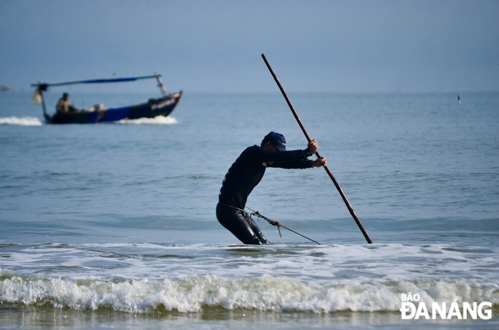 Fishermen need go far from the coast of Da Nang to use nets to catch large quantities of the tinny snails from the seabed.