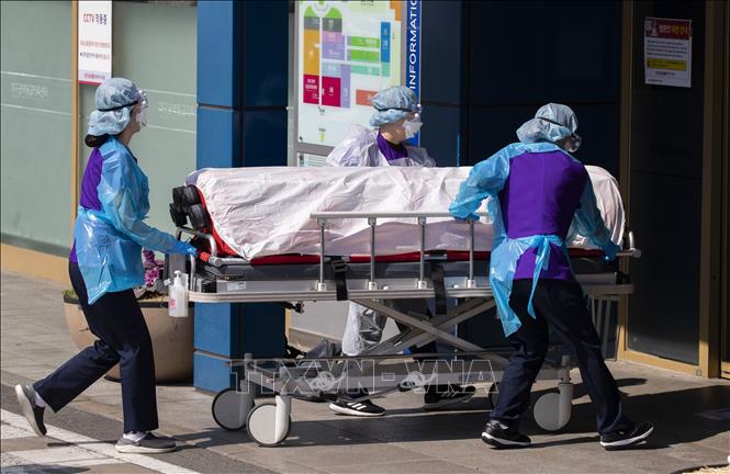 Nhân viên y tế chuyển bệnh nhân nhiễm Covid-19 tới bệnh viện ở Daegu, Hàn Quốc, ngày 4-3. Ảnh: THX/TTXVN