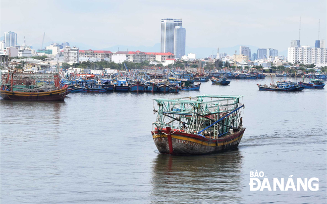 The Tho Quang Fishing Wharf full of fishing boats