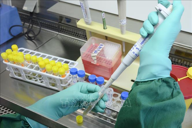  Nhân viên y tế xét nghiệm các mẫu bệnh phẩm COVID-19 tại phòng thí nghiệm ở Stuttgart, miền nam Đức, ngày 2/3/2020. Ảnh: AFP/TTXVN