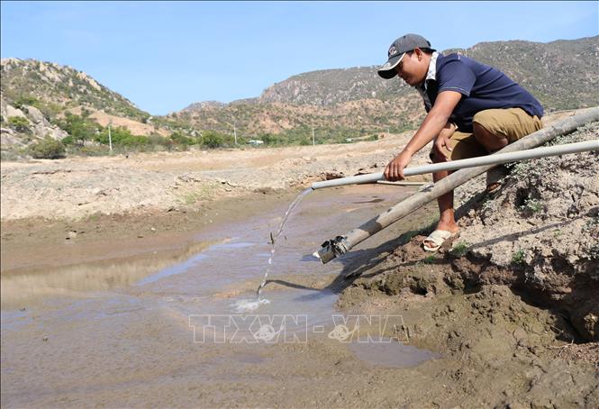 Người dân xã Nhơn Hải (Ninh Hải, Ninh Thuận) chắt chiu từng dòng nước giếng khoan để đưa về rẫy sản xuất trong mùa khô hạn 2020. Ảnh: Nguyễn Thành/TTXVN.