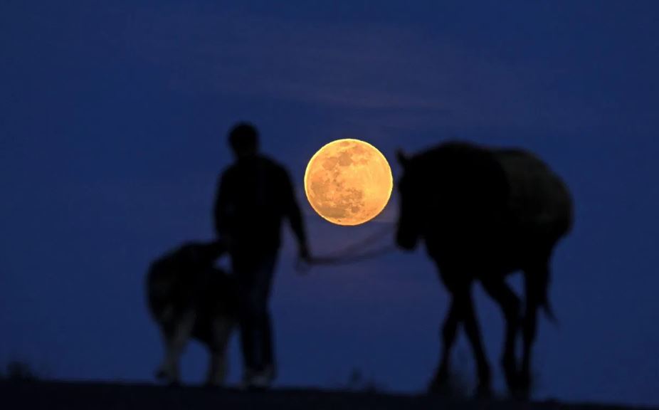Người đàn ông dắt ngựa và chó đi dạo dưới ánh trăng tại Thổ Nhĩ Kỳ. Ảnh: AFP 