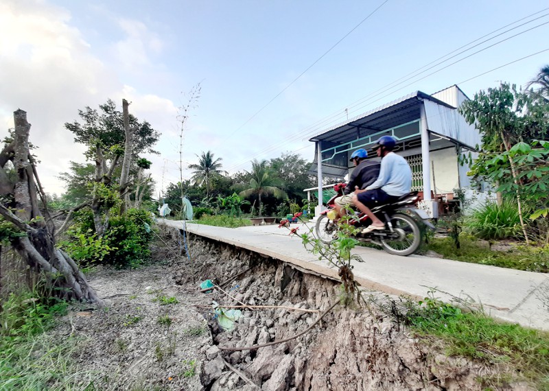 Đặc biệt, từ đầu mùa khô đến nay trong vùng ngọt của tỉnh Cà Mau đã xảy ra hơn 1.000 vụ sạt lở, sụt lún đất.