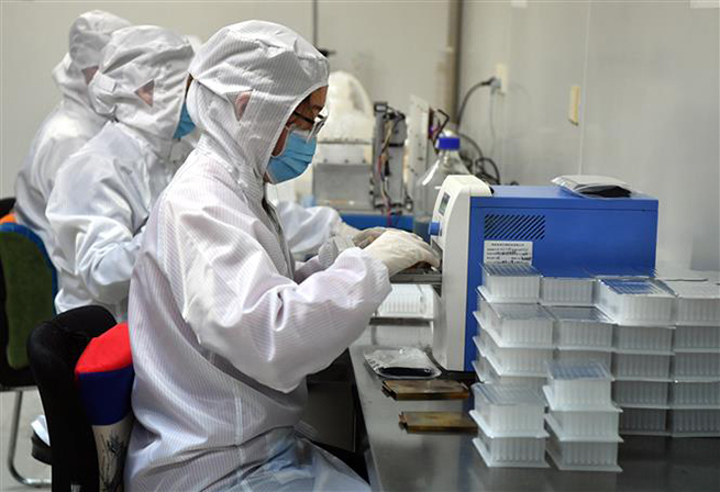 Nhân viên kiểm tra bộ kit xét nghiệm virus Corona tại tỉnh Hà Nam, Trung Quốc, ngày 4-3. Ảnh: THX/TTXVN