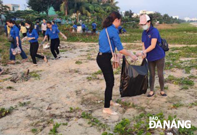 Đoàn Thanh niên quận Thanh Khê ra quân dọn vệ sinh, trồng cây phi lao tại bãi biển đường Nguyễn Tất Thành vào đầu tháng 3.  	     Ảnh: NGỌC HÀ
