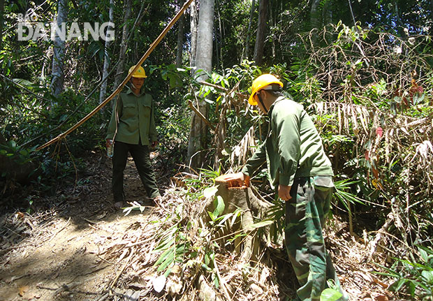 Truy quét, bảo vệ rừng giáp ranh tỉnh Thừa Thiên Huế