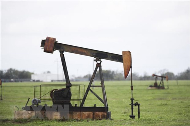 Giá xăng dầu giảm sâu sẽ chỉ tác động khi nền kinh tế ổn định