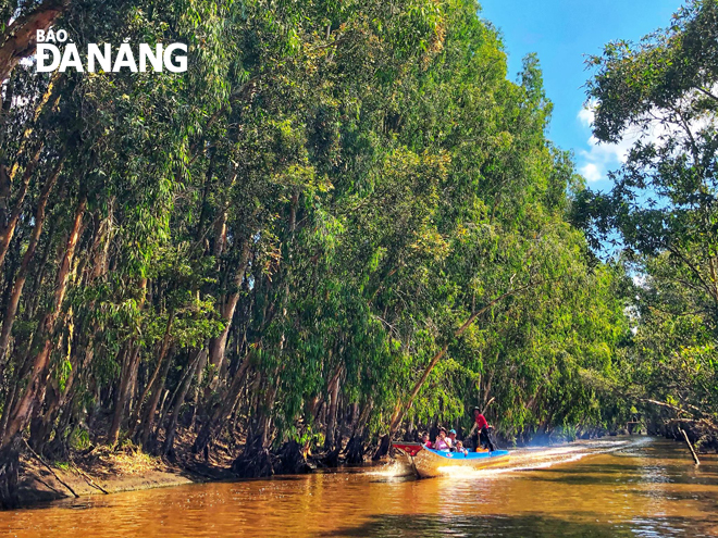 Rừng tràm Trà Sư cách thành phố Châu Đốc khoảng 20km về hướng nam. Hệ thực vật của rừng tràm Trà Sư mang tính đặc trưng của vùng ngập lũ Đồng bằng sông Cửu Long.