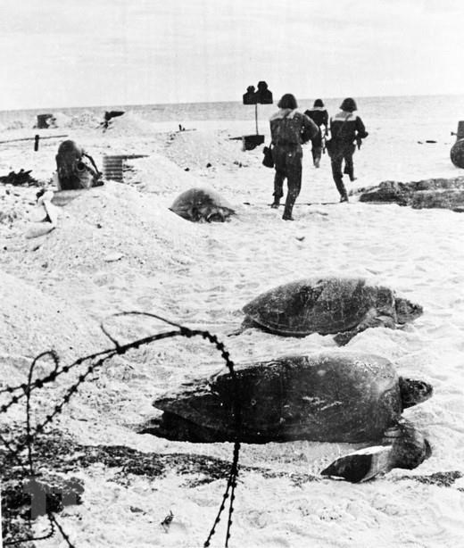 Trong ảnh: Lực lượng Đặc công hải quân Đoàn 126 tấn công giải phóng đảo Sơn Ca, quần đảo Trường Sa, ngày 25/4/1975. Ảnh: Lê Nhật - TTXVN phát