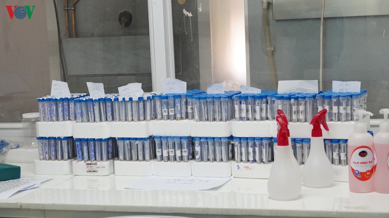 Mẫu bệnh phẩm chuẩn bị chờ xét nghiệm tại Viện Pasteur TPHCM.
