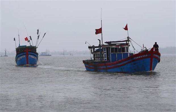 Tàu thuyền của ngư dân Việt Nam. (Ảnh minh họa: Hồ Cầu/TTXVN)