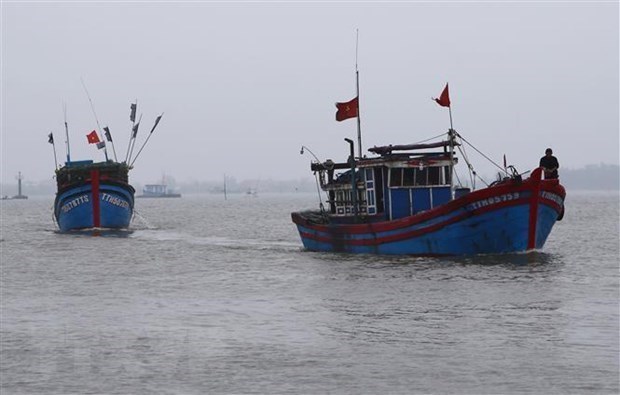 Fishing vessels of Vietnam on East Sea (Illustrative photo: VNA)