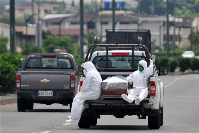 Nhân viên trong trang phục bảo hộ chuyển quan tài tới bệnh viện Los Ceibos, Ecuador, để mai táng các bệnh nhân tử vong do COVID-19 ngày 8/4/2020. Ảnh: AFP/TTXVN