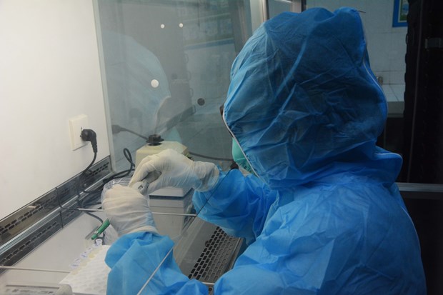 A health worker tests samples at the disease control centre of Da Nang city (Photo: VNA)