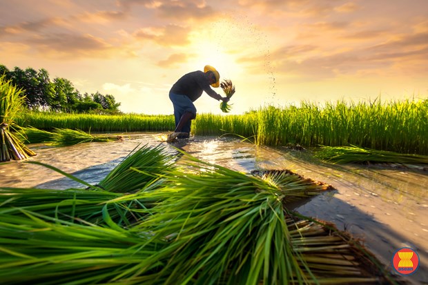 Illustrative image (Photo: ASEAN)