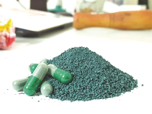 Capsules of spirogyra (spirulina platensis) - a kind of algae - are used to make a healthy tea. T