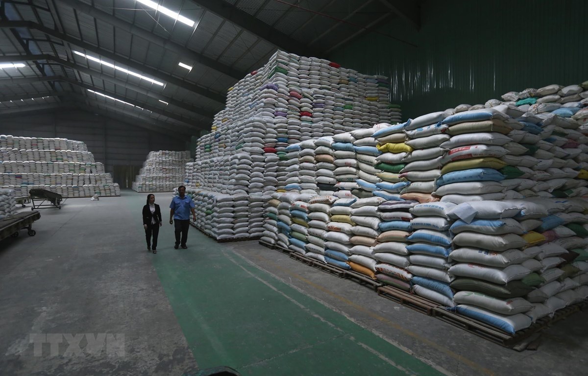 Theo Bộ Công Thương, việc cấm xuất khẩu gạo để buộc người dân, doanh nghiệp phải bán gạo cho dự trữ quốc gia là việc không nên làm. Ảnh: Vũ Sinh/TTXVN.