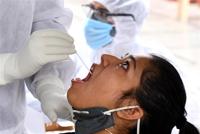 Nhân viên y tế lấy mẫu xét nghiệm Covid-19 tại New Delhi, Ấn Độ ngày 23-4-2020. Ảnh: THX/TTXVN