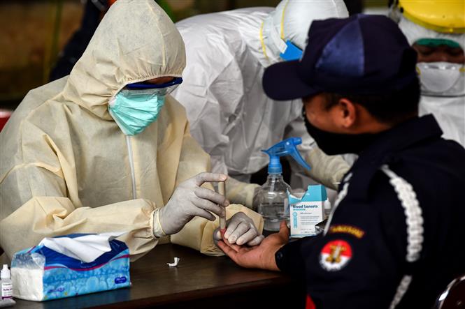 Giới chức y tế lấy mẫu xét nghiệm tại một khu chợ ở Indonesia. Ảnh: AFP/TTXVN