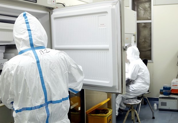 Cán bộ y tế xét nghiệm các mẫu bệnh phẩm nhiễm và nghi nhiễm virus SARS-CoV-2 tại labo. (Ảnh: Dương Ngọc/TTXVN)