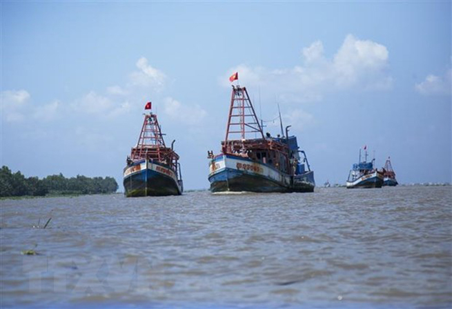 Hội Nghề cá Việt Nam phản đối Quy chế cấm đánh bắt cá trên biển Đông