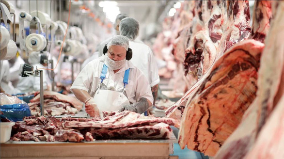 Trung Quốc ngừng nhập khẩu thịt bò Úc