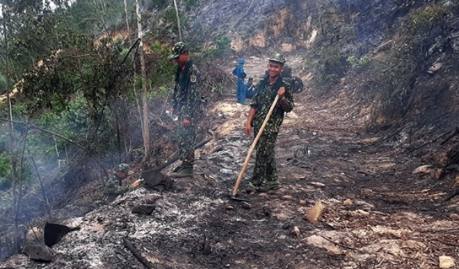 Dập tắt đám cháy 10ha rừng trồng, cây bụi ở núi Sọ