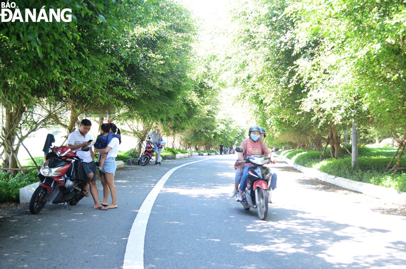 Groups of visitors keeping a safe distance from others on the peninsula