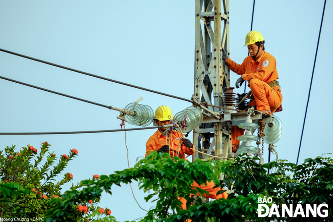 Employees from the Da Nang Power Company maintaining public lighting systems across the city