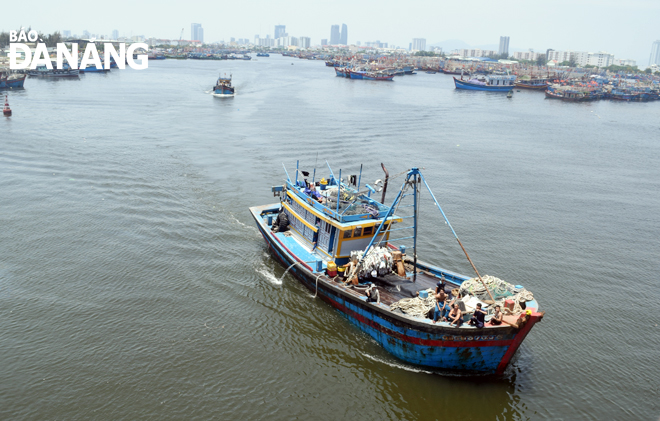 Many fishing vessels leaving the Tho Quang Wharf for the rich Hoang Sa fishing grounds