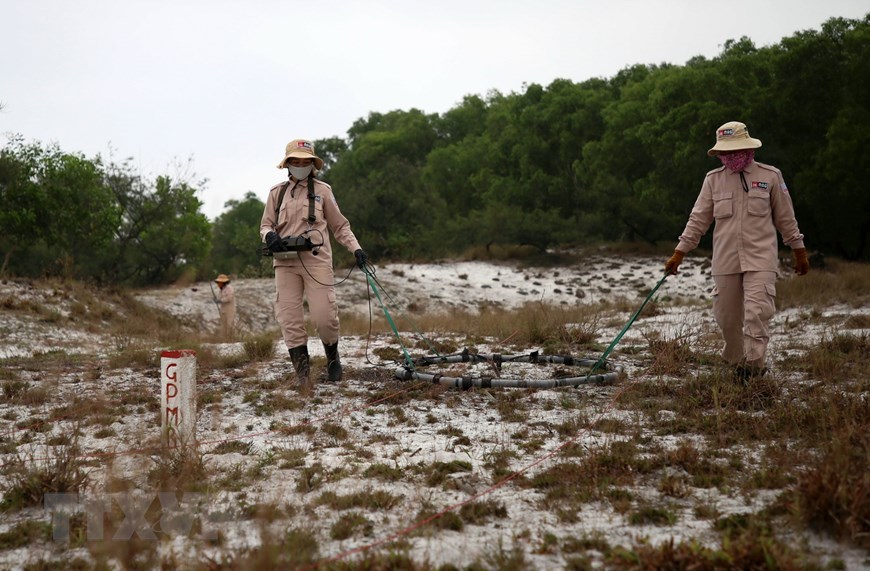  Các thành viên đội MAT 19 rà tìm các vật liệu nổ bằng máy chuyên dụng tại vùng cát huyện Hải Lăng. (Ảnh: Hồ Cầu/TTXVN)