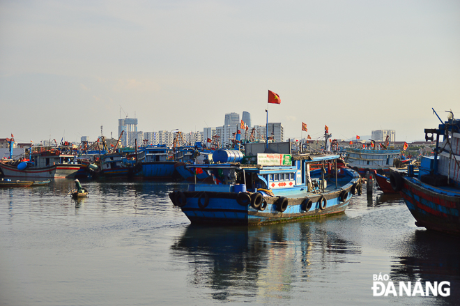 Fishing boats docking at the Tho Quang Fishing Wharf