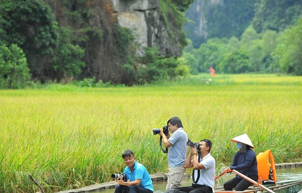 Photographers capture beauty of the ripening rice fields in Tam Coc - Bich Dong, a popular destination in the northern province of Ninh Binh. (Photo: VNA)