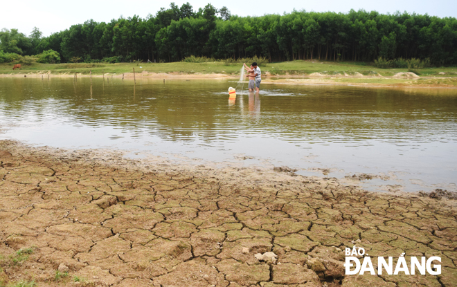 Hồ Tân An (xã Hòa Nhơn, huyện Hòa Vang) bị cạn khô nước.  Ảnh: HOÀNG HIỆP