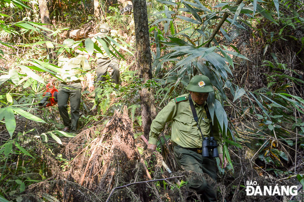 The Department is urging relevant agencies to increase their checks and tighten their monitoring of production and business activities in forests, and picnic activities in a bid to prevent fires.