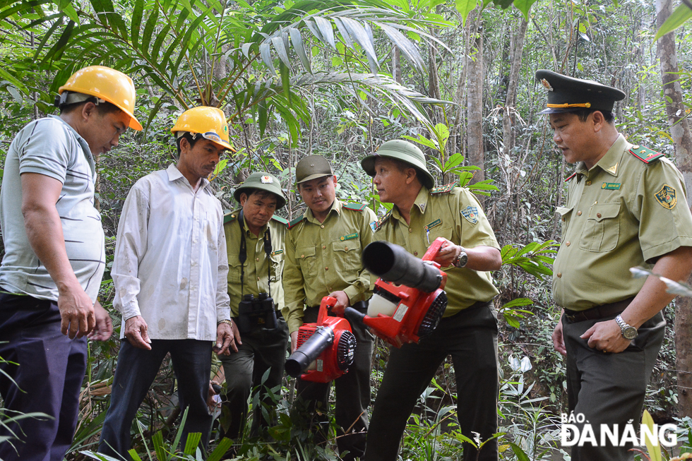 586 families living near forests in the city have actively become involved in protecting and developing forests under the city’s ‘forestry environmental services’ project.