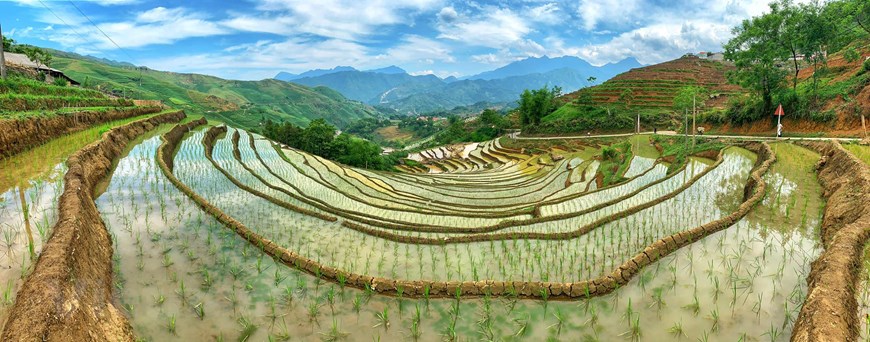 Sau khi đổ ải, người dân sẽ cấy lúa và tháo nước khỏi ruộng. (Ảnh: Xuân Mai/Vietnam+)