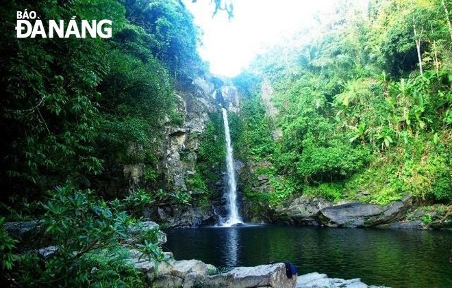 The fresh beauty of the Gieng Troi in the summer morning