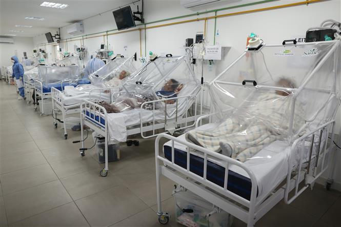 Bệnh nhân nhiễm COVID-19 điều trị tại bệnh viện ở Manaus, Brazil, ngày 20/5/2020. Ảnh: AFP/TTXVN