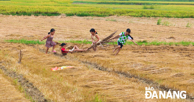 Children pulling the spathe of the areca tree, a kind of tug of war, on a rice paddy field in Duc Tan Commune, Mo Duc District. Duc Tan Commune was the birthplace of late Vietnamese Prime Minister Pham Van Dong.