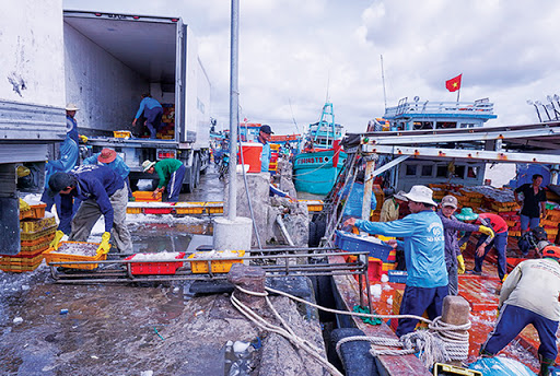 Kiểm tra, xử lý nghiêm hành vi khai thác hải sản bất hợp pháp